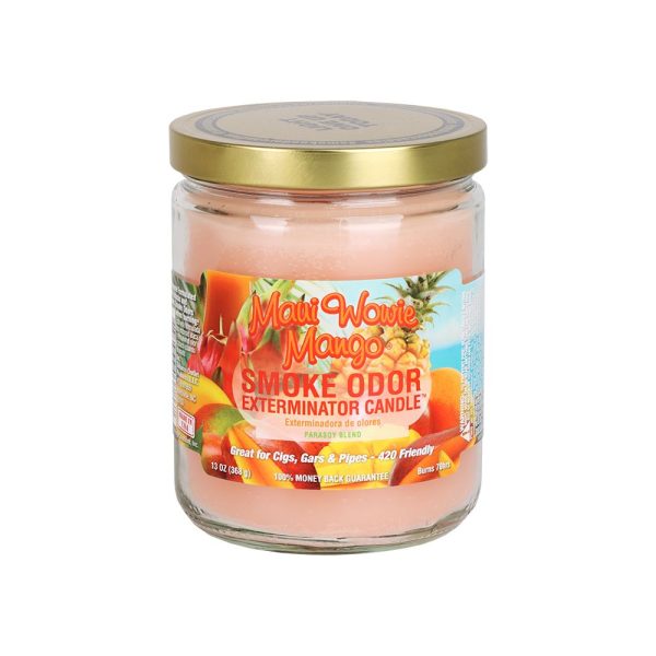 Smoke Odor Exterminator Candle | Year-Round Series | 13oz - Image 32