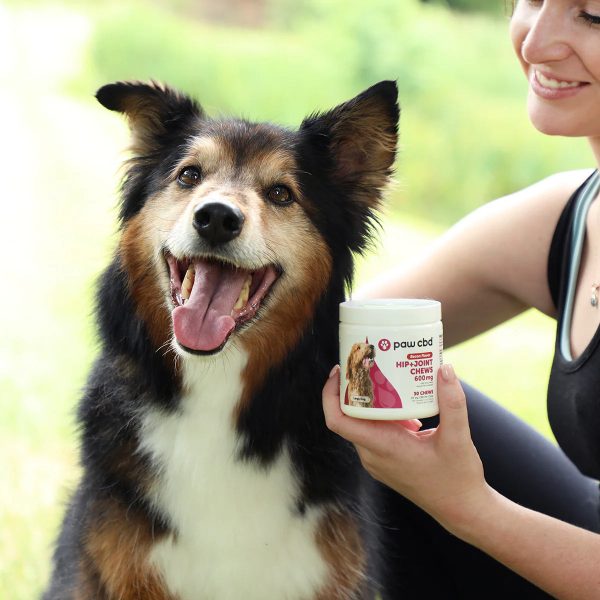 CBD Hip and Joint Dog Soft Chews For Enhanced Mobility  - 600MG, 30ct - Image 2