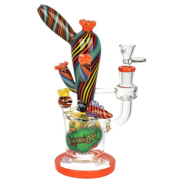 Lookah Glass Cactus Water Pipe - 9.25" / 14mm F - Image 2