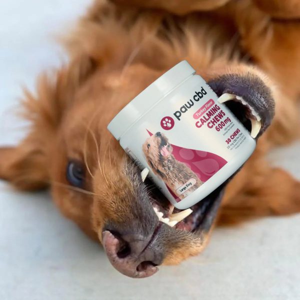 Paw CBD Calming CBD Dog Chews Treats - Turkey 600MG, 30ct - Image 2