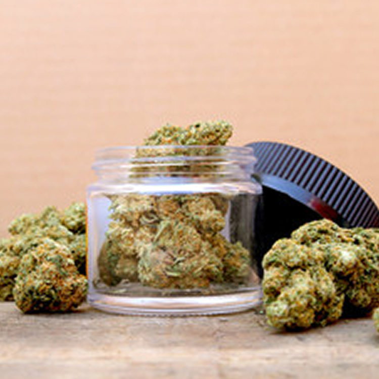 buds