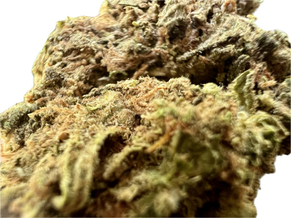 Ripkitty Runtz OG THCA Hemp Flowers - Image 3