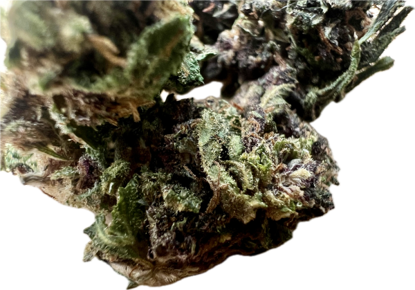 Ripkitty Legendary Platinum OG CBD Hemp Flowers - Image 7