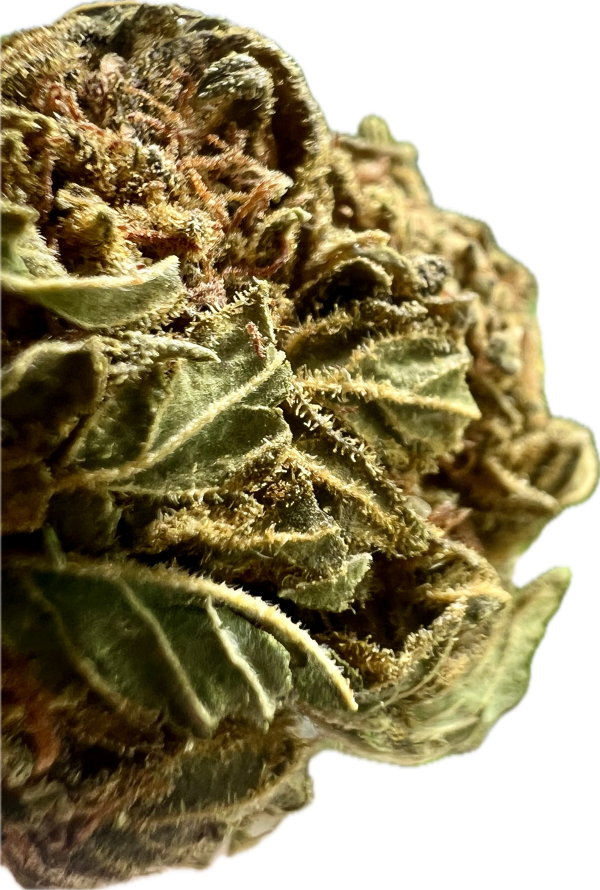 Ripkitty Crack Smuggler THCA Hemp Flowers - Image 4