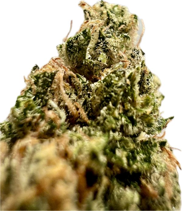 Ripkitty Indoor Big Apple Jack CBD Hemp Flowers - Image 3