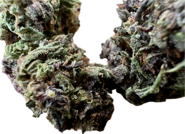 Ripkitty Legendary Platinum OG CBD Hemp Flowers - Image 11