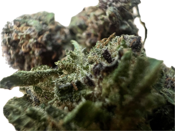 Ripkitty Legendary Platinum OG CBD Hemp Flowers - Image 9