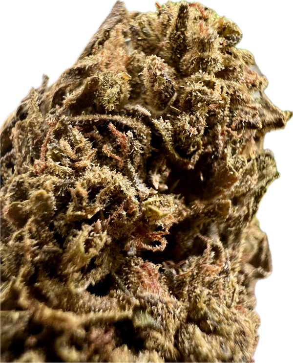 Ripkitty Jungle Driver THCA Hemp Flowers - Image 2