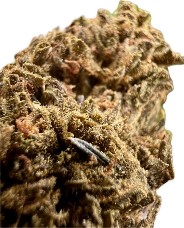 Ripkitty Jungle Driver THCA Hemp Flowers - Image 3