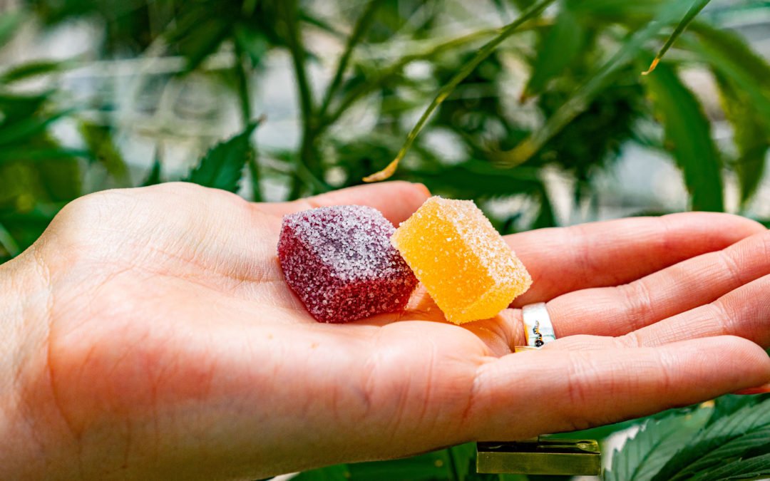 About Edible Weed Gummies Dosing and Effects