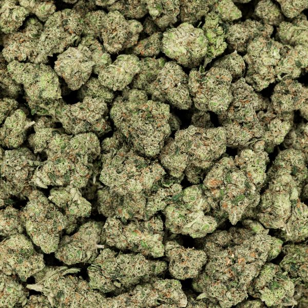 Revelry Citrus Smoothie THCA Flower 3.5G - Image 5