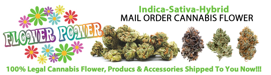 buy weed online now