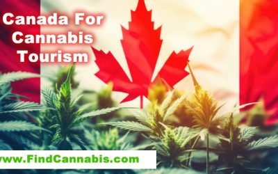 Top Cannabis Destinations in Canada for2025: Coast-to-Coast Highlights