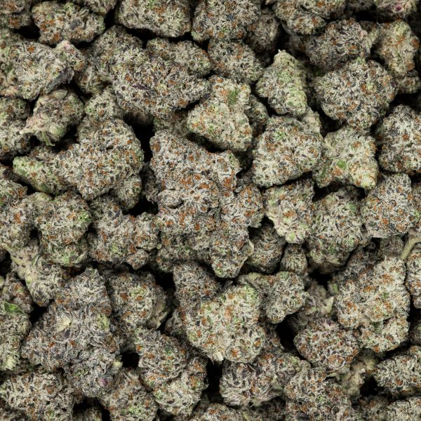 Revelry White Truffle THCA Flower 3.5G - Image 4