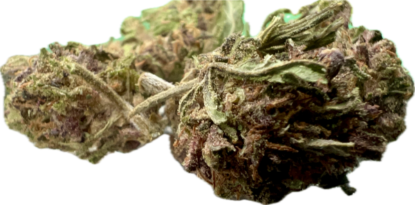 Ripkitty Legendary Platinum OG CBD Hemp Flowers - Image 4