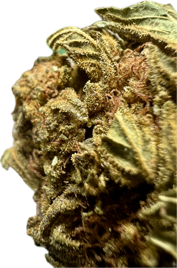 Ripkitty Crack Smuggler THCA Hemp Flowers - Image 3