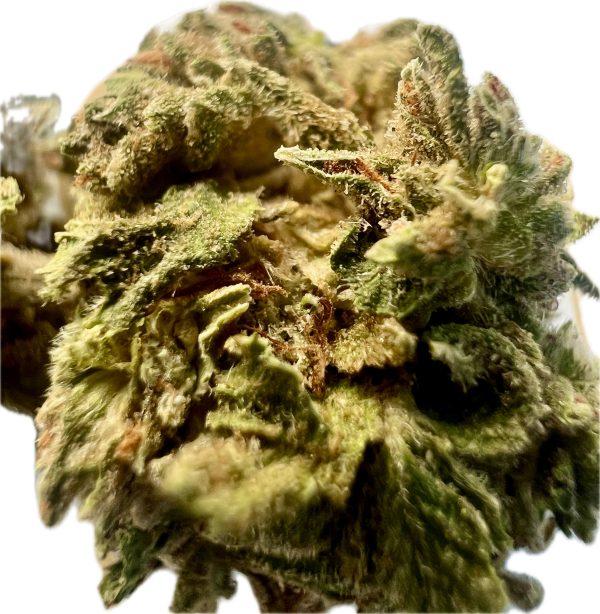 Ripkitty Gelato #33 THCA Hemp Flowers - Image 4