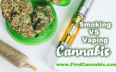 Vaping vs. Smoking Cannabis: A Complete Health Comparison for Your Lungs