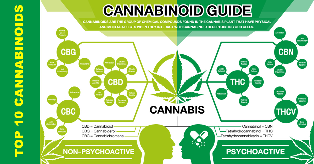 top 10 cannabinoid types