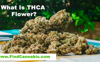 The Science Behind THCA Flower: Benefits and Usage