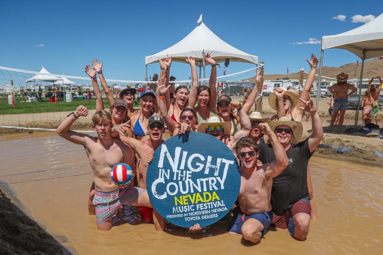 Night In The Country 2 768x512