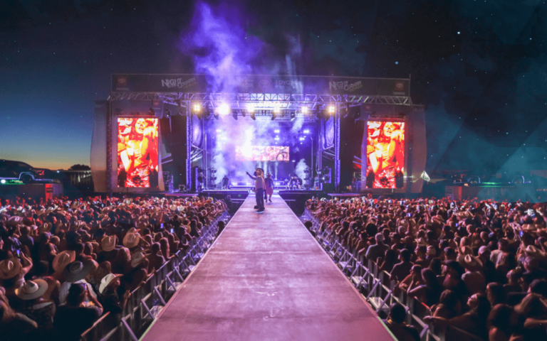 Night in the country 6 768x480