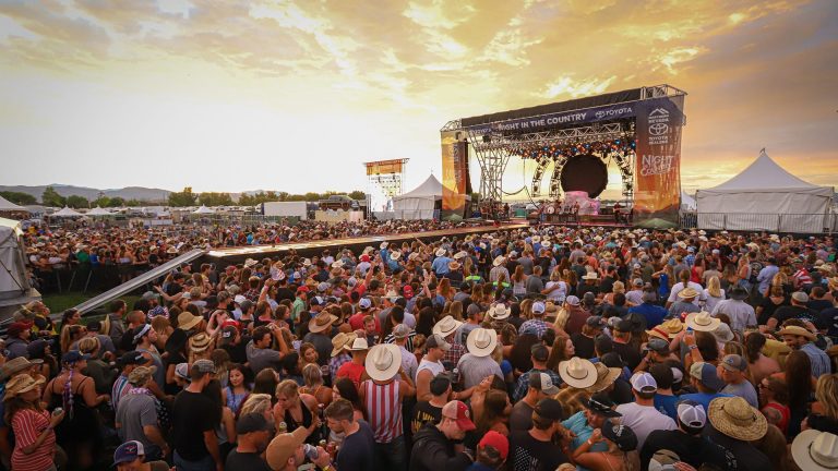 Night in the country 768x432