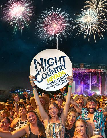 Night in the country 8