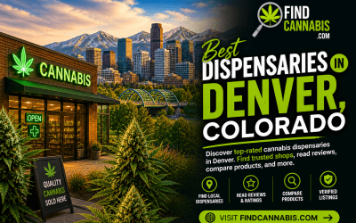 What Eleven Years of Legal Cannabis Looks Like From Behind a Dispensary Counter