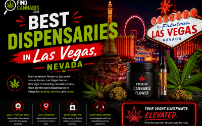 Best Dispensaries in Las Vegas, Nevada
