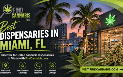 Best Dispensaries in Miami, Florida