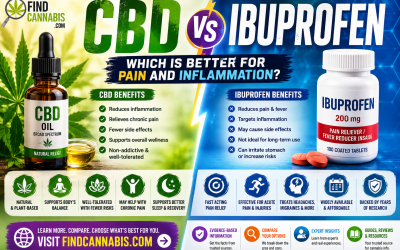 CBD for Pain vs Ibuprofen — A Pharmacological Comparison