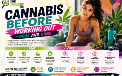 The Runner’s High Isn’t Endorphins. It’s Your Endocannabinoid System.