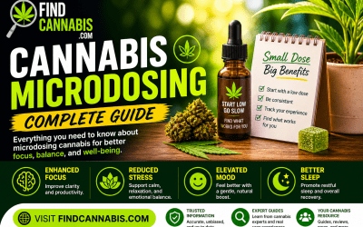 The Lowest Dose Worked Best. The Cannabis Industry Has Spent Thirty Years Ignoring That.