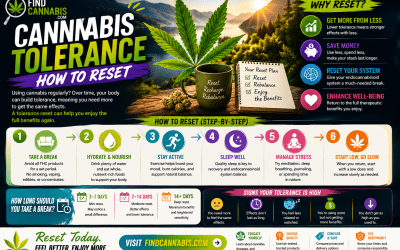 Cannabis Tolerance Develops in Four Days. Most People Think It Takes Months.