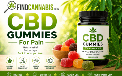 CBD Gummies For Pain
