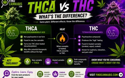 THCA vs THC — What’s the Difference?