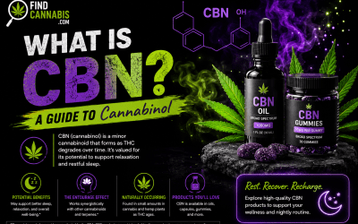 The CBN Sleep Industry Is Built on a Five-Subject Study From 1975