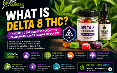 What Is Delta 8 THC?